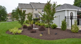 back-yard-landscaping