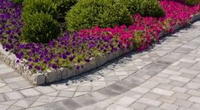 Paver Pathway Landscaping
