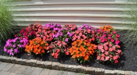 Flower Bed