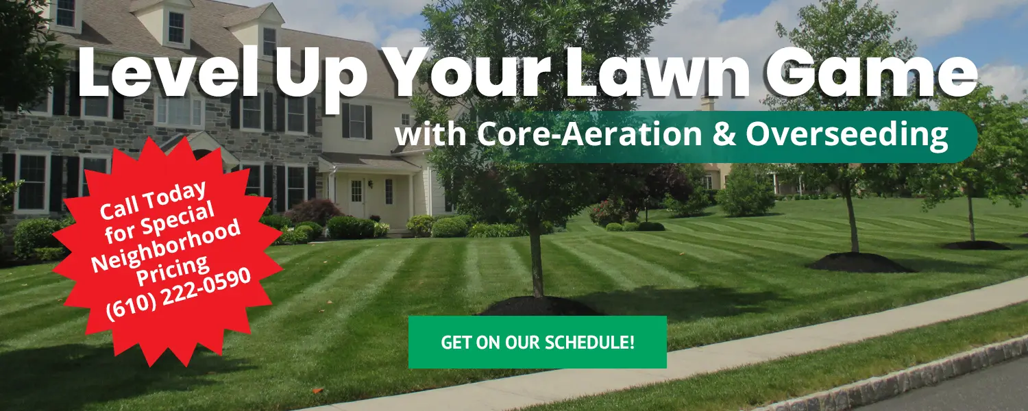 Level Up Your Lawn Game
