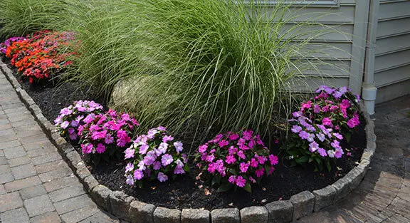 Flowers - Landscaping