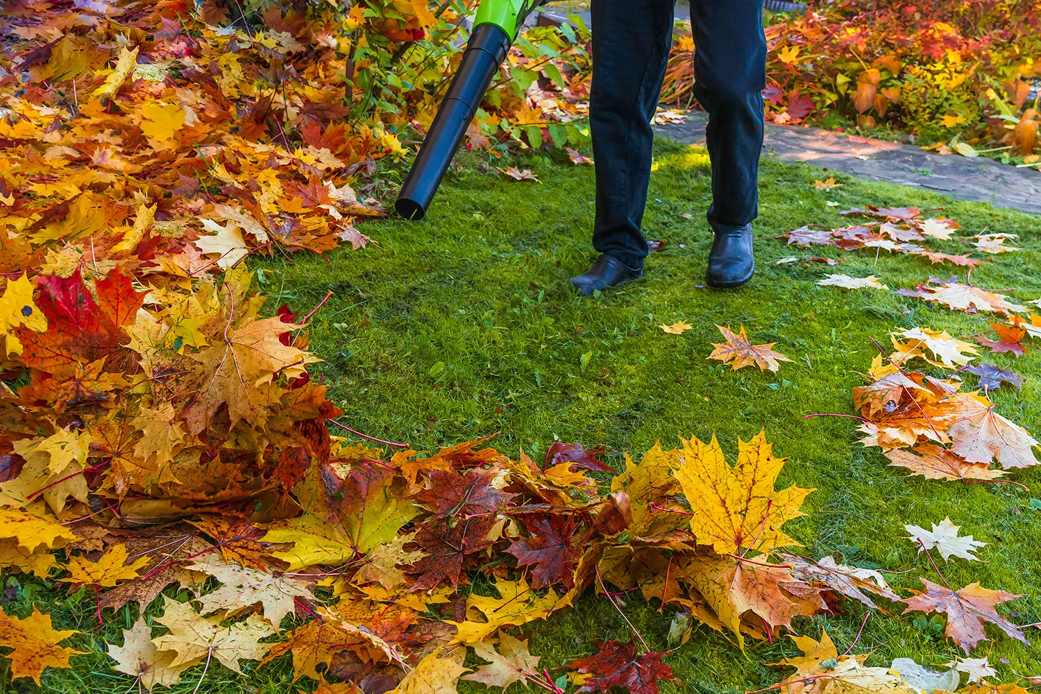 Why Property Clean-Up is Important for Your Home in Schwenksville, Audubon, Blue Bell, and Surrounding Areas