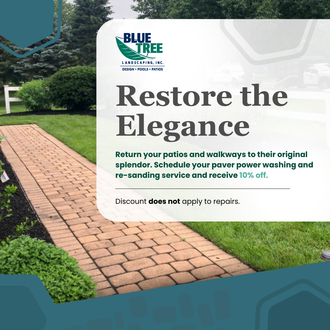 Blue Tree Landscaping | September Fall Landscape Planning Promos