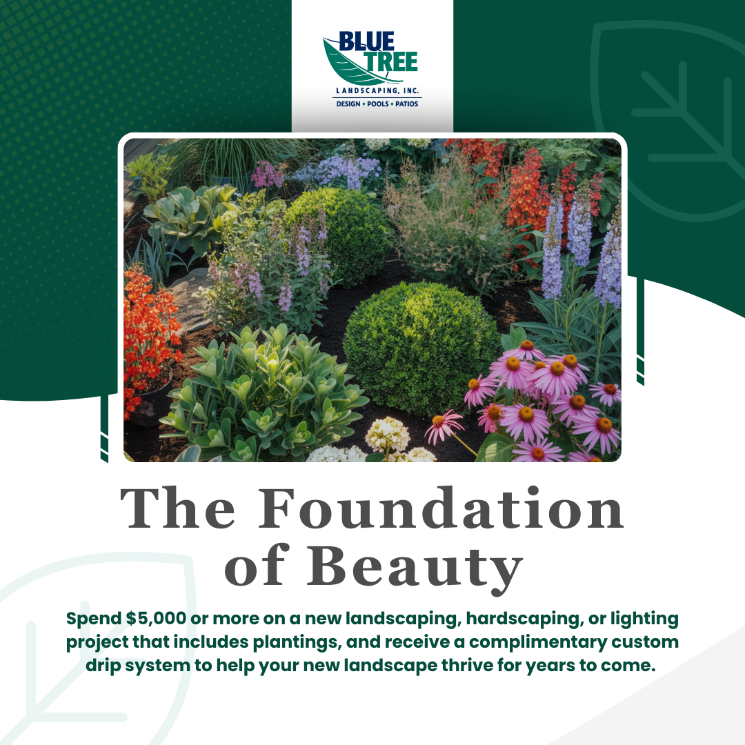 Blue Tree Landscaping | September Fall Landscape Planning Promos
