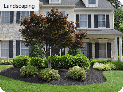 Front-yard landscape bed with a Japanese maple, layered shrubs, and fresh mulch at a stone home