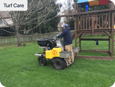 Blue Tree technician treating a backyard lawn with a stand-on spreader