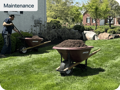 Blue Tree crew spreading mulch with wheelbarrows in a landscaped backyard