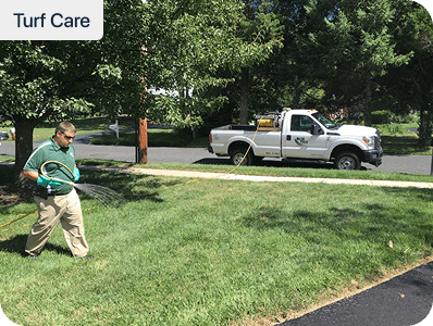 Blue Tree lawn care technician walking across a healthy green lawn with a company truck at the curb in Southeastern PA