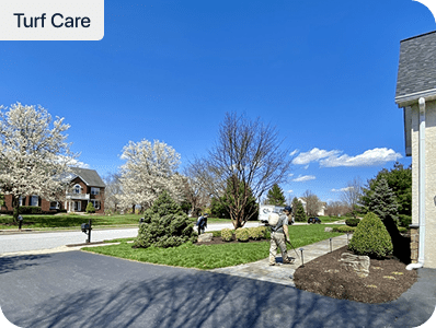 Manicured front lawn and landscape beds at a Southeastern PA home with flowering spring trees