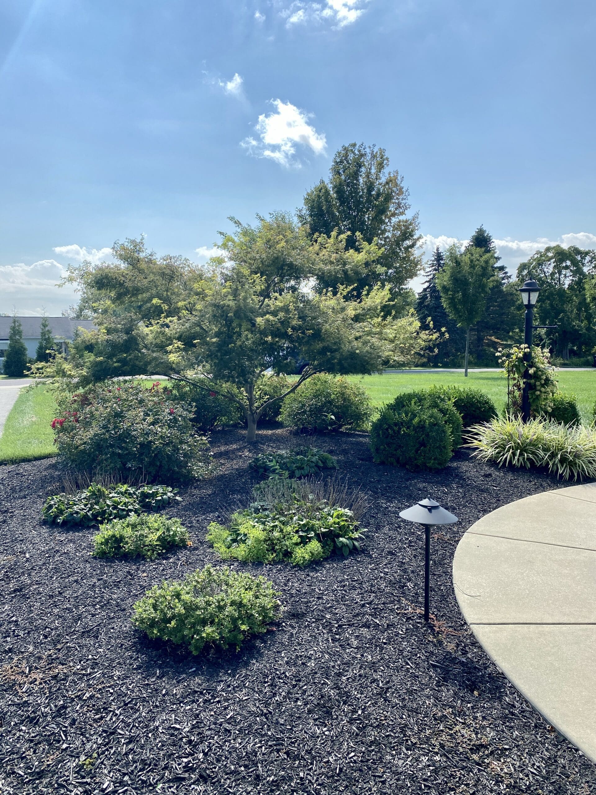 A landscaped garden with shrubs, small trees, and mulch beds beside a curved concrete path. A lamp post and outdoor light are visible under a blue sky with scattered clouds. Lush green lawn surrounds the area.