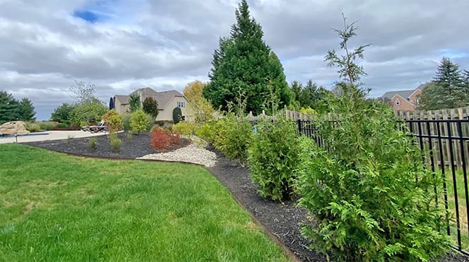A suburban backyard features green grass, a mulched garden bed with shrubs and small trees, a metal fence, and a large house in the background under a cloudy sky.