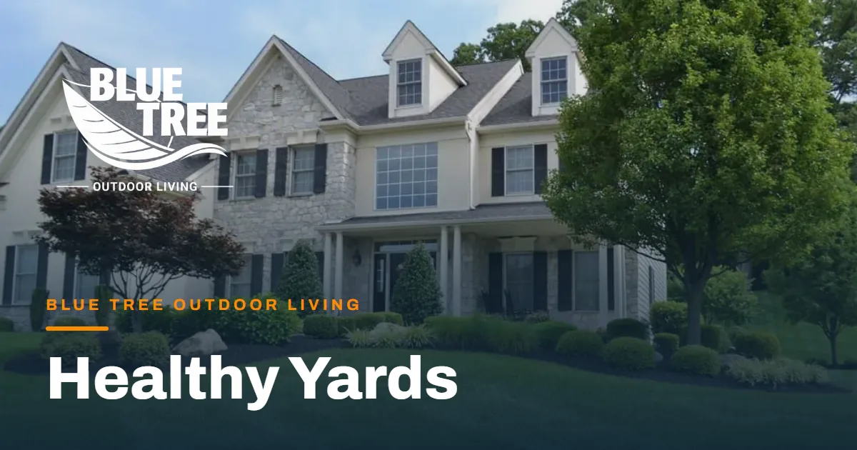 Healthy lawn and landscape beds maintained by Blue Tree Outdoor Living in Southeastern PA
