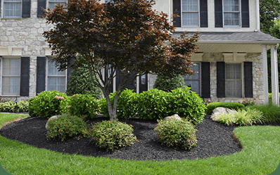 Front-yard landscape beds and plantings by Blue Tree Outdoor Living