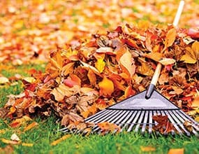 A metal rake rests on a pile of colorful autumn leaves on green grass, with more fallen leaves scattered in the background.