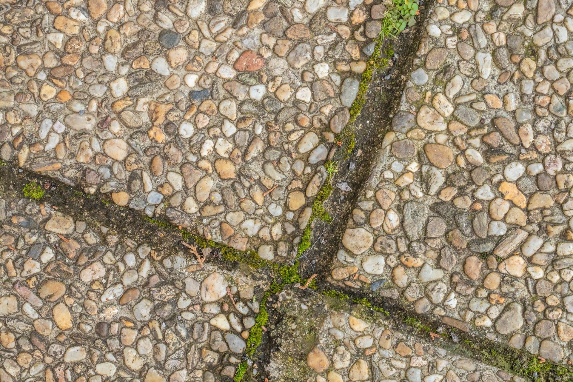 Close-up of a stone pavement with small, rounded pebbles set in concrete. Green moss and small plants grow along the cracks between the tiles. The surface appears weathered and textured.