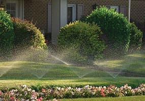 A well-maintained yard with green grass and decorative bushes is being watered by multiple lawn sprinklers. Flowering plants are visible in the foreground, and a house is in the background.