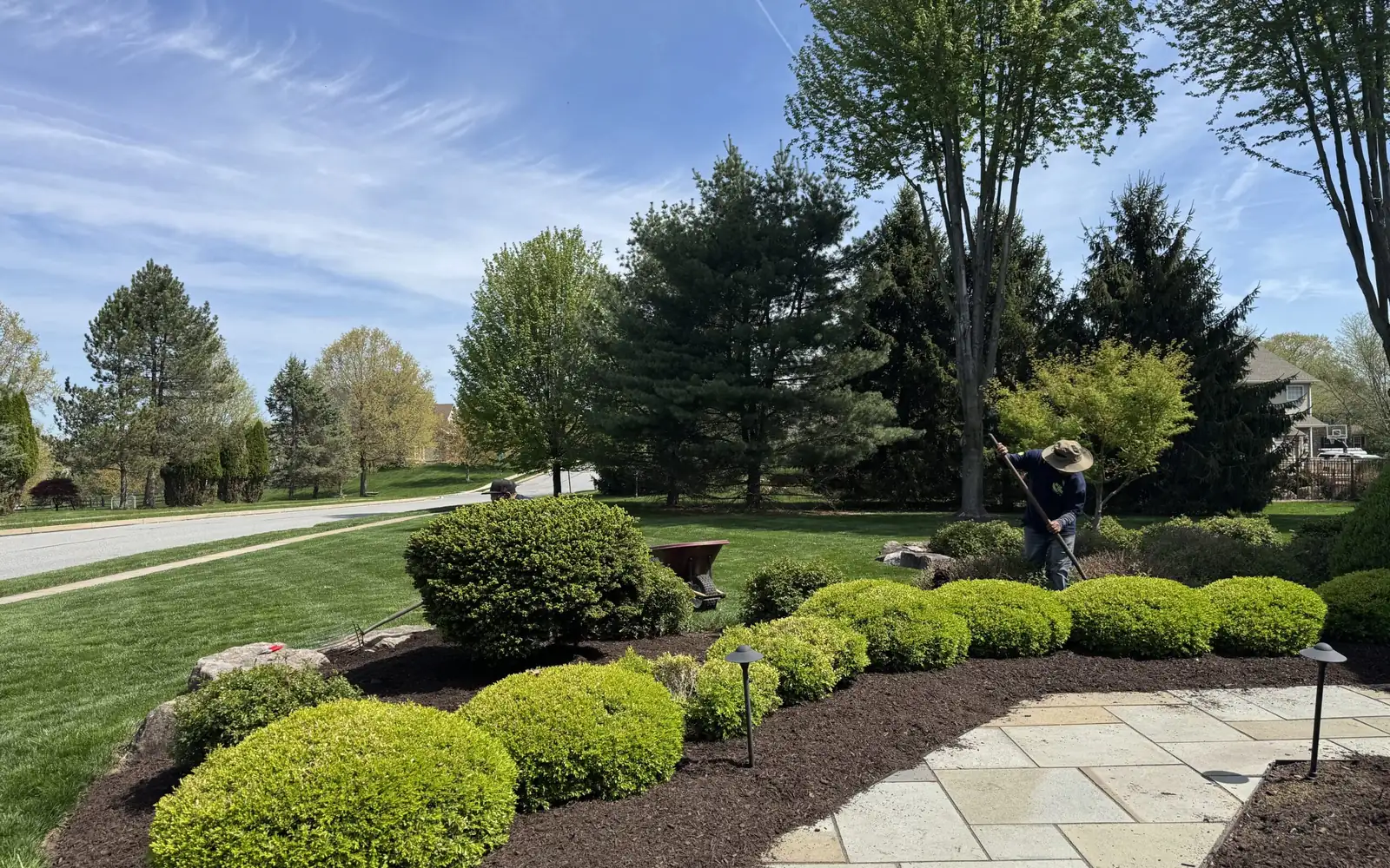 Blue Tree team member tending shrubs and trees in a landscaped Southeastern Pennsylvania yard