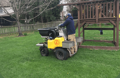 Blue Tree crew member operating lawn care equipment in a residential backyard